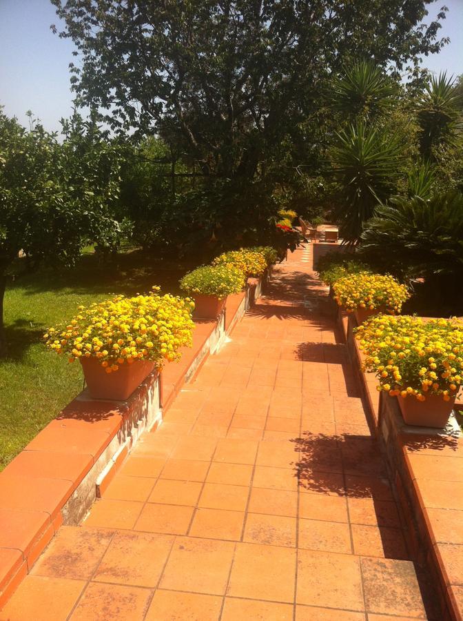 B&B Villa Irma Sorrento Dış mekan fotoğraf